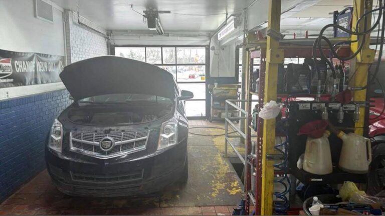 WhatsApp Image 2026-02-15 at 11.03