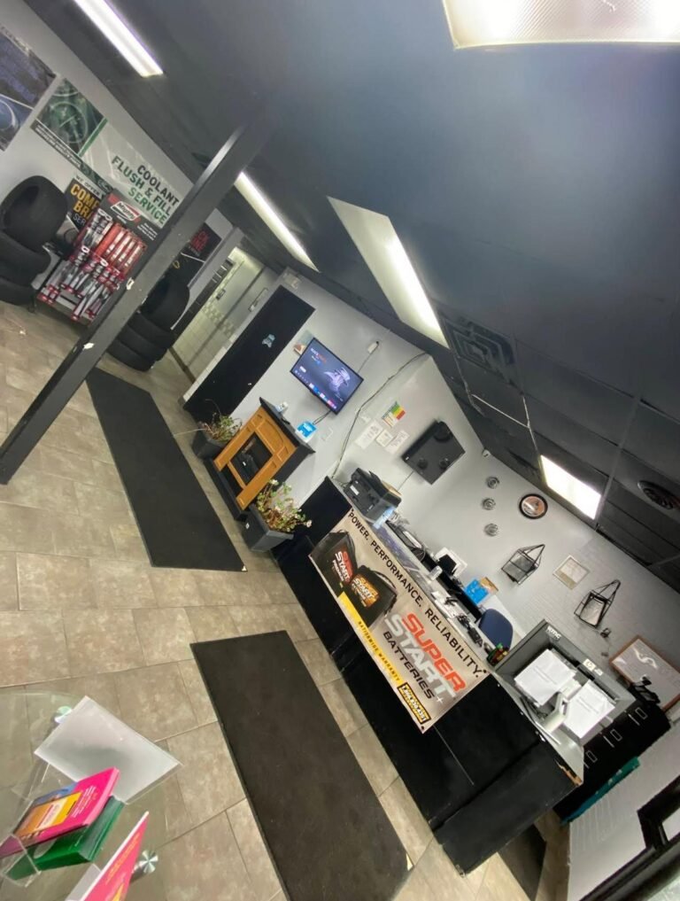 WhatsApp Image 2026-02-15 at 11.03