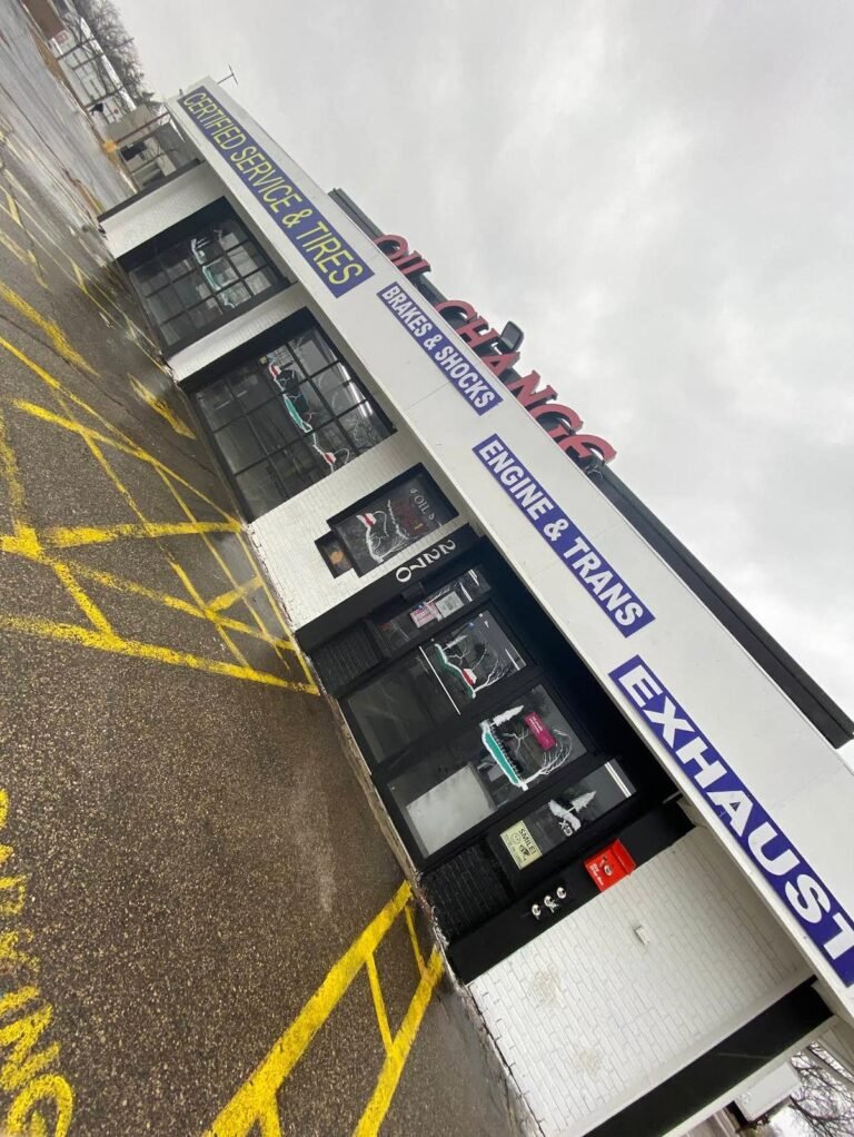 WhatsApp Image 2026-02-15 at 11.03