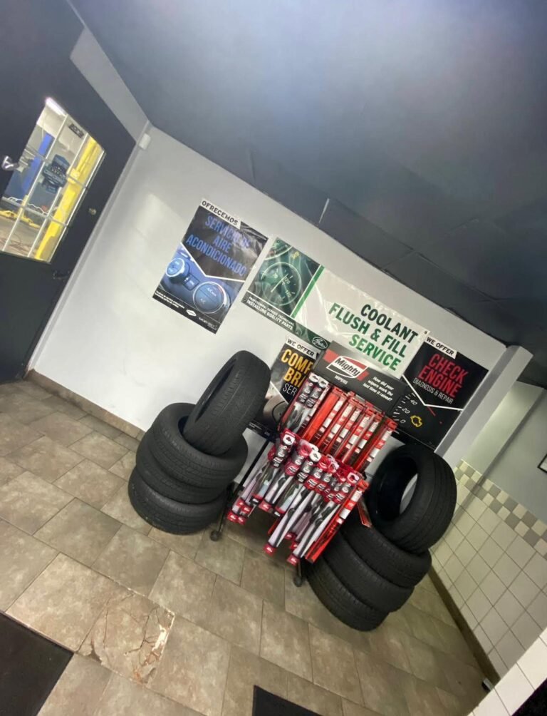 WhatsApp Image 2026-02-15 at 11.03